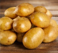 Potato