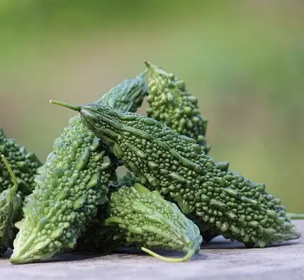 Bitter Gourd