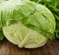 Cabbage